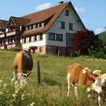 Freyenhoefe Апартаменты