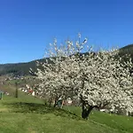 Freyenhoefe *