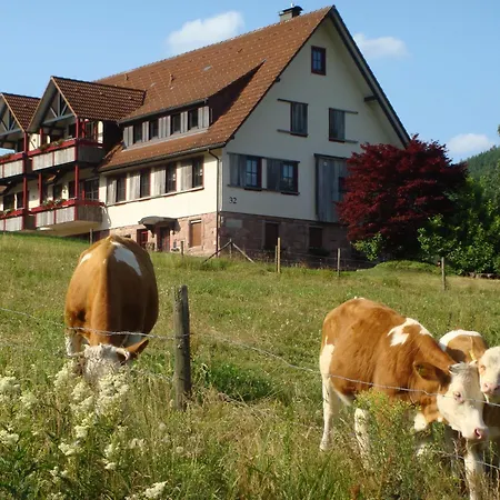 Freyenhoefe Apartamento