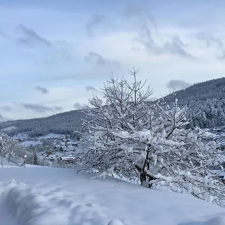 Freyenhoefe Apartman Baiersbronn