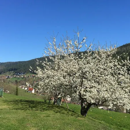 Freyenhoefe *