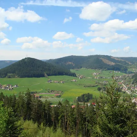 Apartament Freyenhoefe Baiersbronn