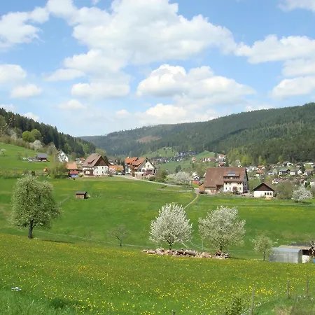 Freyenhoefe Байрсброн