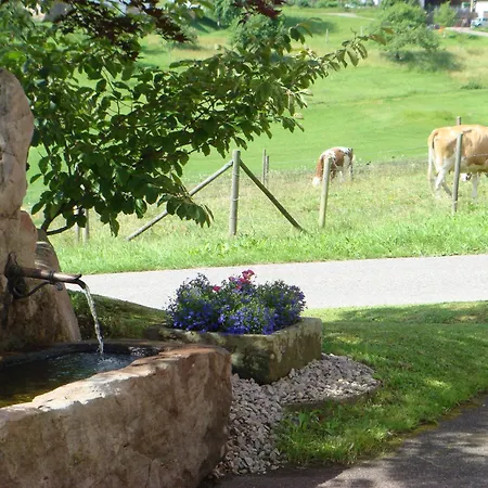 Freyenhoefe Baiersbronn